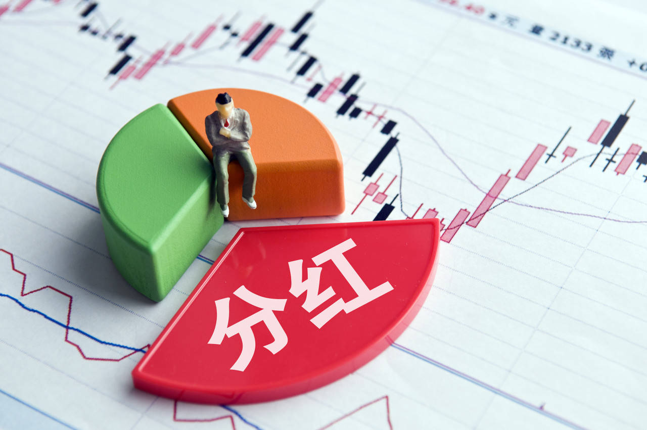 回报中小投资者意义不大 现金分红的重要性不宜过度拔高